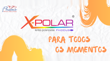 imagem-13447